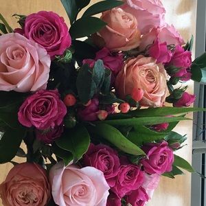 Meet your Posher, Nancy